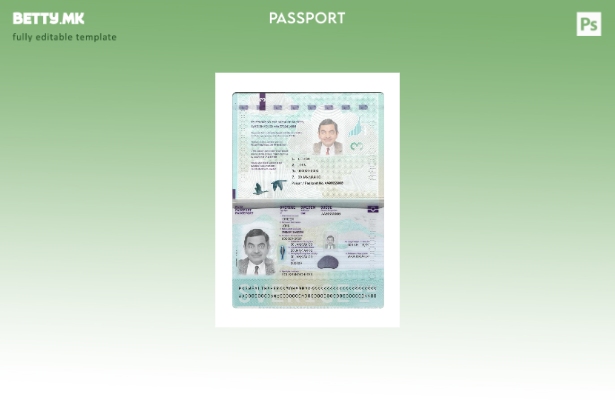 модерен стил шведски пасош нов сегашен шаблон